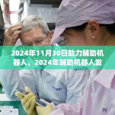 2024年辅助机器人发展的助推之力,机遇与挑战的探讨