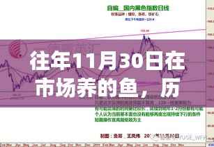 历年11月30日市场鱼类养殖解析与回顾