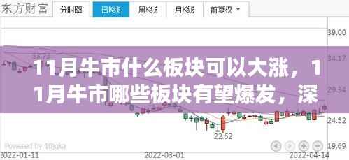 深度解析与竞品对比,揭秘11月牛市中哪些板块有望爆发大涨