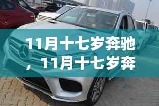 青春驰骋岁月,十七岁奔驰的热血十一月