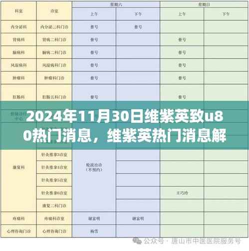 维紫英致u80热门消息解析，观点碰撞与个人立场聚焦