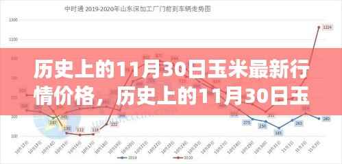 深度解析，历史上11月30日玉米行情与最新价格趋势洞察