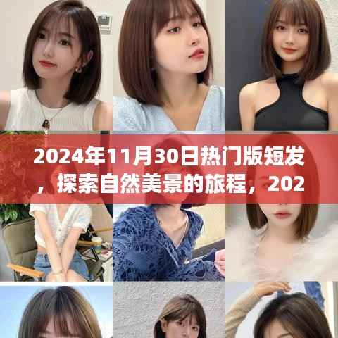 寥若晨星 第4页