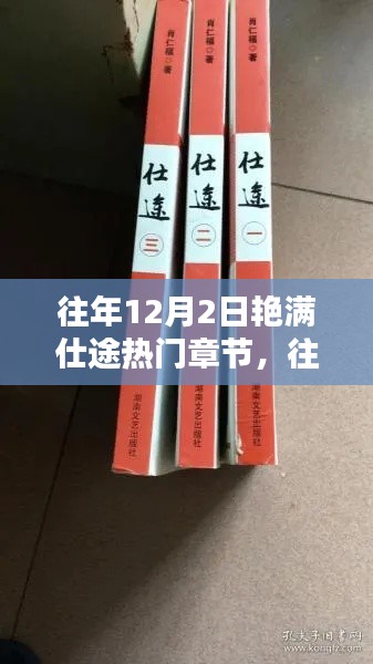 往年12月2日艳满仕途,热门章节深度解析