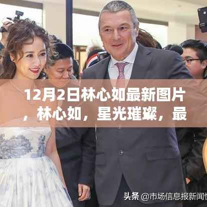 林心如最新图片回顾,星光璀璨的时代篇章,影响力与地位的彰显