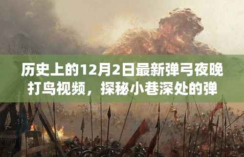 探秘弹弓夜猎胜地，揭秘最新夜晚打鸟视频背后的故事与弹弓夜晚的神秘魅力