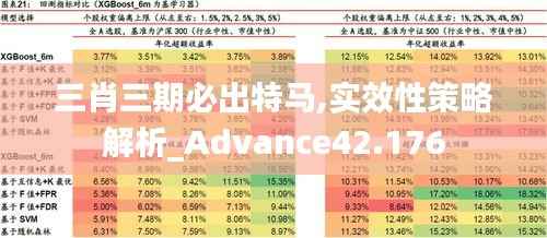 三肖三期必出特马,实效性策略解析_Advance42.176