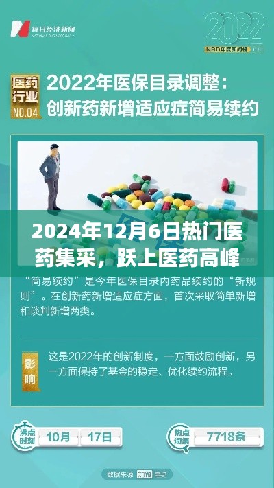 2024年12月6日热门医药集采,跃上医药高峰,2024年12月6日热门医药集采背后的励志故事