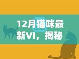 揭秘十二月猫咪最新VI设计与要点解析