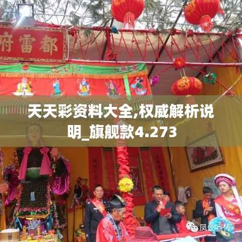 天天彩资料大全,权威解析说明_旗舰款4.273