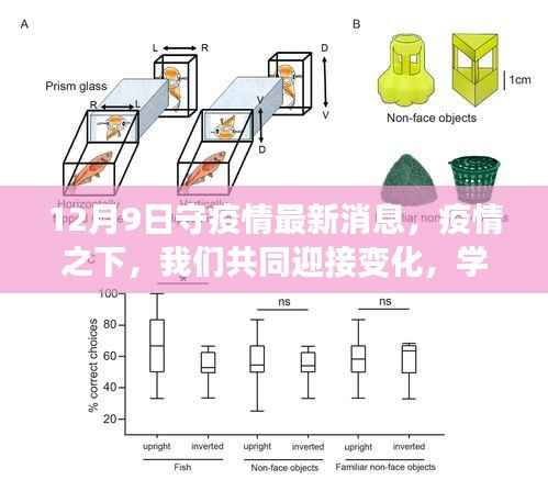 疫情下的希望之光，共同迎接变化，学习成就自信 —— 12月9日最新疫情消息