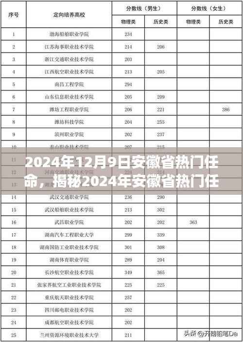 揭秘2024年安徽省热门任命,产品特性、用户体验与目标用户全面解读