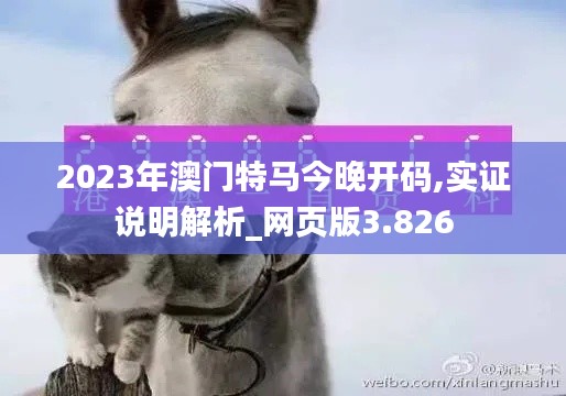 2023年澳门特马今晚开码,实证说明解析_网页版3.826