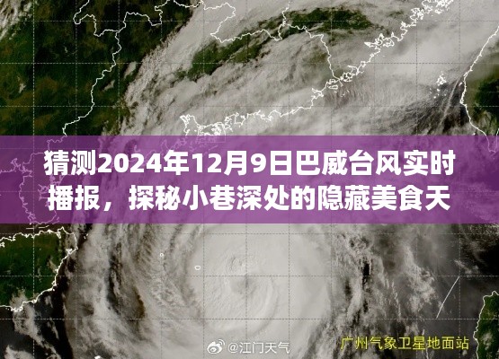 巴威台风下的美食探秘,小巷深处的隐藏天堂,实时播报巴威台风动态