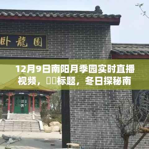 冬日探秘南阳月季园,直播之旅寻找心灵的宁静之地