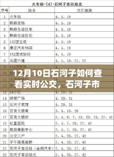 初学者也能轻松掌握,石河子市实时公交查询指南(附查询步骤)