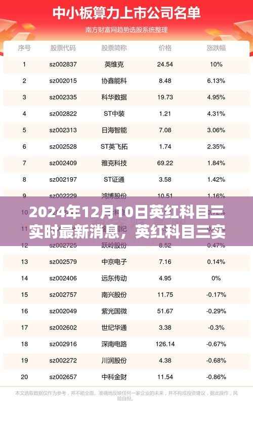 英红科目三实时更新，聚焦最新动态与影响洞察