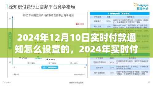 探究最佳实践与策略，实时付款通知设置详解及实时付款通知设置策略（适用于2024年）