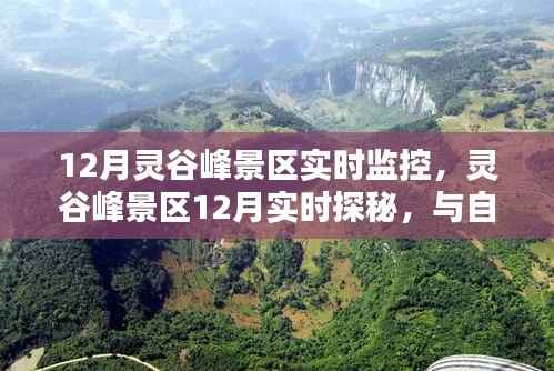 灵谷峰景区12月实时探秘，与自然共舞，追寻宁静桃花源