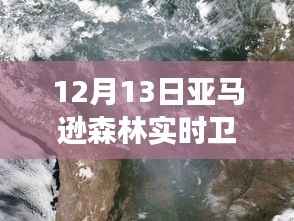 揭秘亚马逊森林,卫星地图下的绿色宝藏特别观察(12月13日)