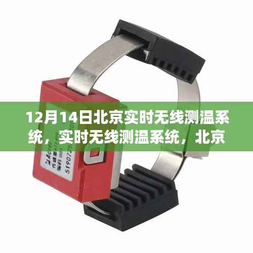 鸟革翬飞 第4页