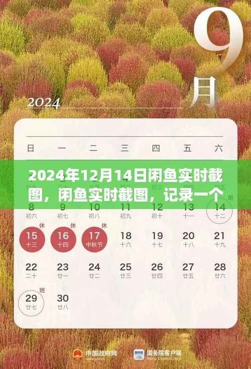 闲鱼时光印记，记录时代繁华与变迁的实时截图