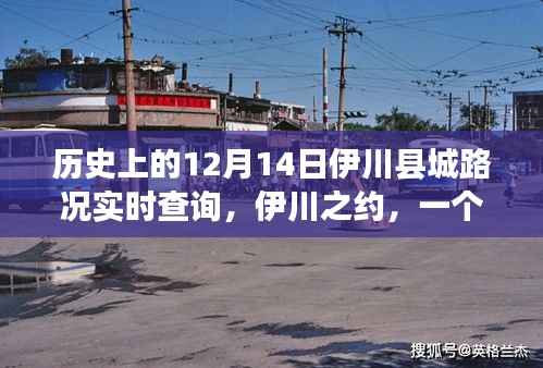 伊川之约,历史12月14日路况实时查询与温馨故事