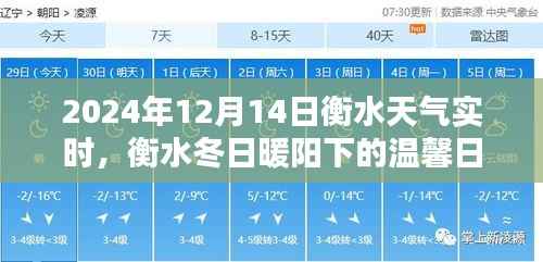 衡水冬日暖阳下的奇遇,2024年12月14日天气实时与温馨日常