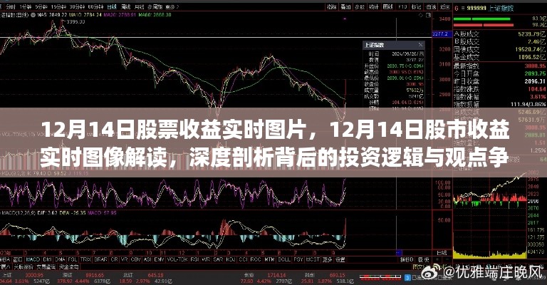 揭秘股市收益实时图像背后的投资逻辑与观点争议,深度剖析与解读股市收益实时图片(12月14日)