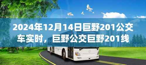 巨野公交巨野201线路运营分析与实时公交服务的双刃剑效应