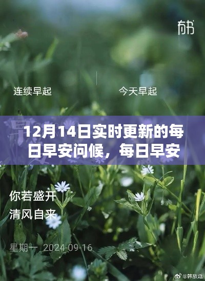 每日早安问候制作指南,初学者与进阶用户的实用步骤(实时更新版)