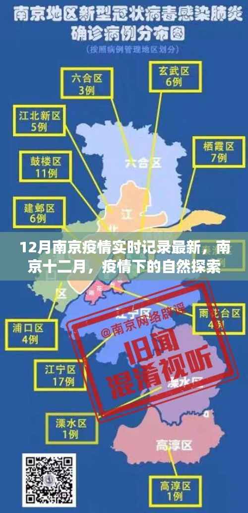 南京十二月疫情下的自然探索之旅,寻找内心的宁静与平和实时记录最新