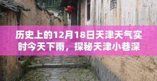 公司概况 第298页