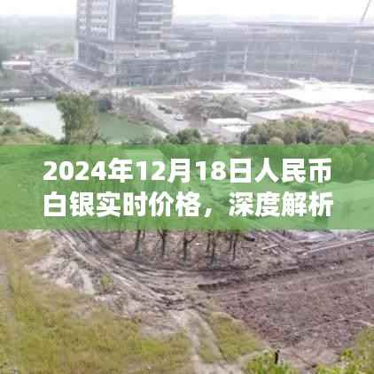 深度解析，2024年12月18日人民币白银实时价格、特性、用户体验及竞品对比