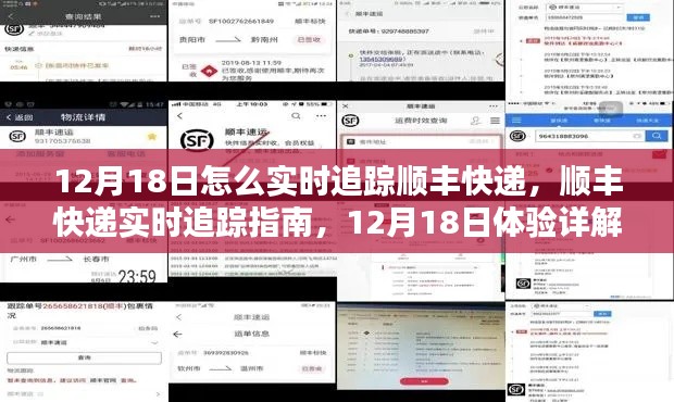 12月18日顺丰快递实时追踪指南,详细体验与追踪教程