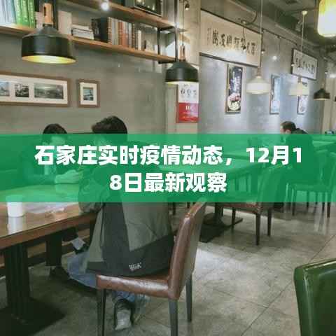 石家庄实时疫情动态更新,12月18日最新观察报告