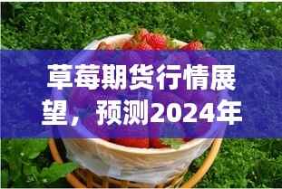 草莓期货行情展望,预测至2024年12月18日的实时行情分析报告