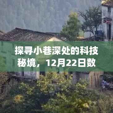 科技秘境探寻之旅,数据读取与实时显示的奇妙小巷之旅(12月22日)