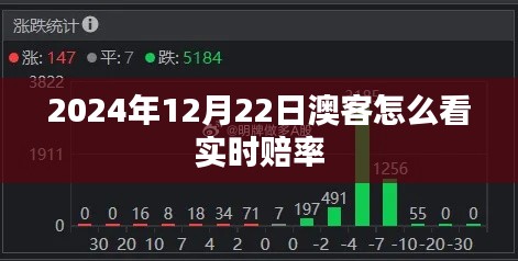 澳客体育实时赔率查看指南,2024年12月22日全新体验