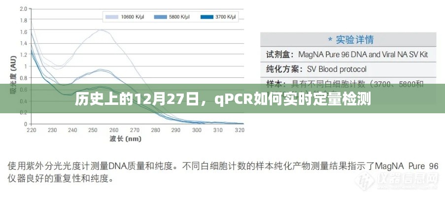 历史上重要日子背后的实时定量PCR检测技术揭秘