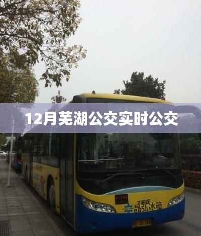 芜湖公交实时查询系统,12月最新公交动态