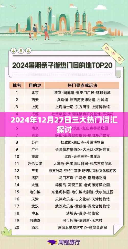 2024年12月热门词汇深度探讨