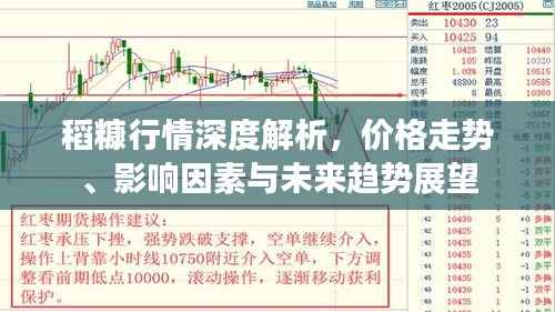 稻糠行情深度解析，价格走势、影响因素与未来趋势展望