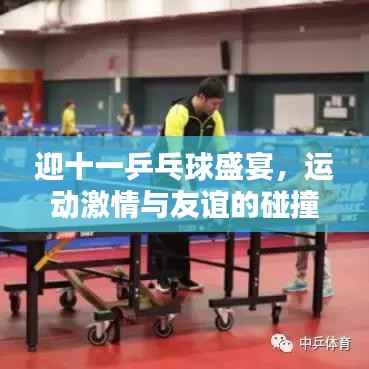 迎十一乒乓球盛宴,运动激情与友谊的碰撞!