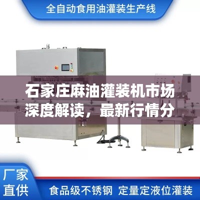 长命富贵 第3页