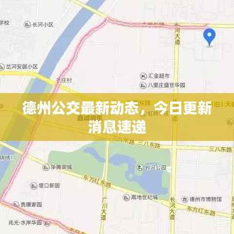 德州公交最新动态，今日更新消息速递
