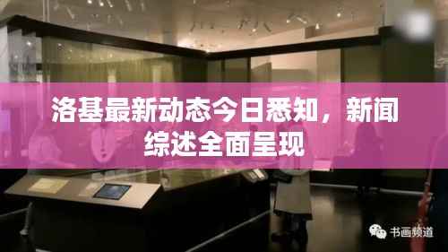 洛基最新动态今日悉知，新闻综述全面呈现