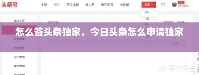 怎么签头条独家,今日头条怎么申请独家