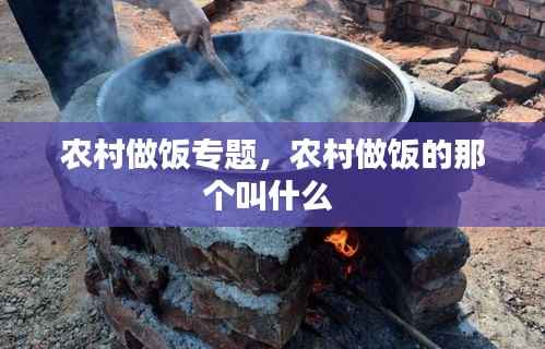 质而不俚 第3页