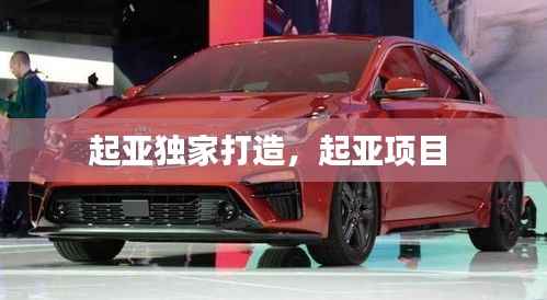 起亚独家打造,起亚项目